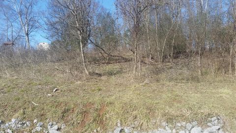 Tiny photo for 60 E Chelaque Way, Mooresburg, TN 37811 (MLS # 1337530)
