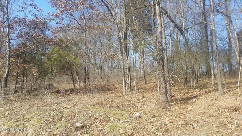 Tiny photo for 60 E Chelaque Way, Mooresburg, TN 37811 (MLS # 1337530)