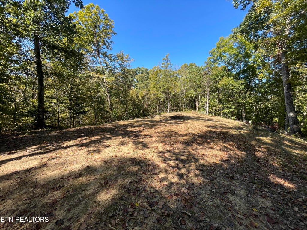 Photo of 136 Denton Rd, Madisonville, TN 37354 (MLS # 1358247)