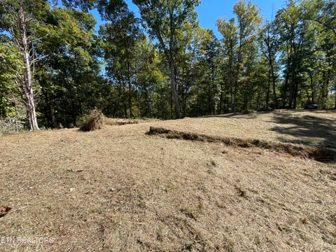Photo of 136 Denton Rd, Madisonville, TN 37354 (MLS # 1358247)