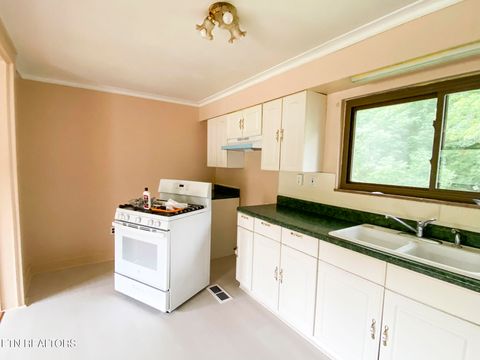 Tiny photo for 1166 Lake Drive, Dandridge, TN 37725 (MLS # 1329919)