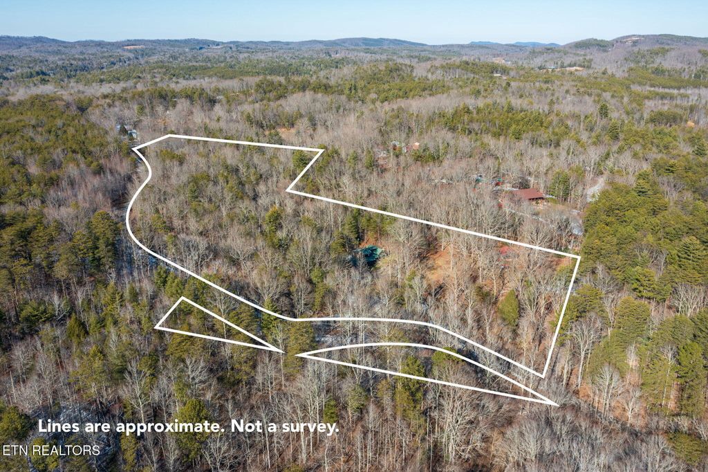 Photo of 215 Unicoi Lakes Rd, Tellico Plains, TN 37385 (MLS # 1287111)