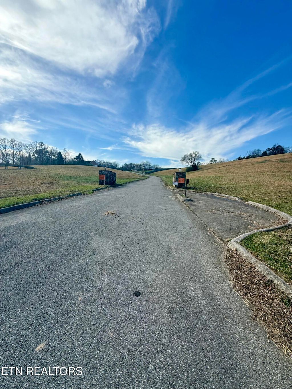 Photo of 975 Co Rd 316, Niota, TN 37826 (MLS # 1331711)