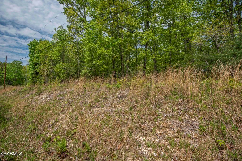 Photo of 215 Hickory Drive, Spring City, TN 37381 (MLS # 1189076)