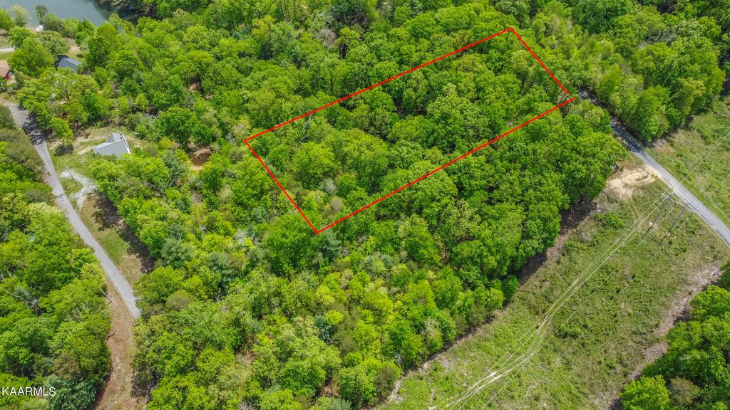 Photo of 215 Hickory Drive, Spring City, TN 37381 (MLS # 1189076)