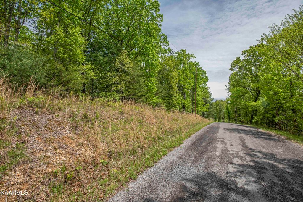 Photo of 215 Hickory Drive, Spring City, TN 37381 (MLS # 1189076)