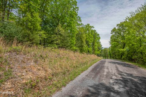 Lot 215 Hickory Drive Spring City TN 37381