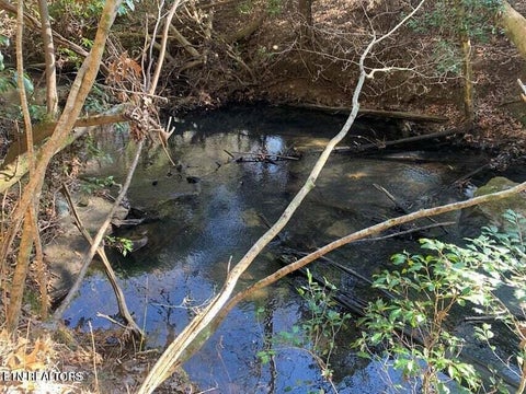Photo of Tract 2 Lone Wolf Trail Tr, Spencer, TN 38585 (MLS # 1355440)