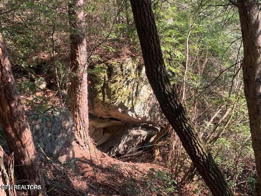 Tract 2 Lone Wolf Trail Tr