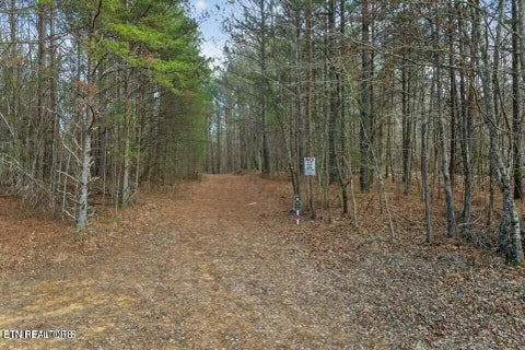 Tiny photo for Tract 2 Lone Wolf Trail Tr, Spencer, TN 38585 (MLS # 1355440)