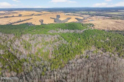 Tiny photo for Tract 2 Lone Wolf Trail Tr, Spencer, TN 38585 (MLS # 1355440)
