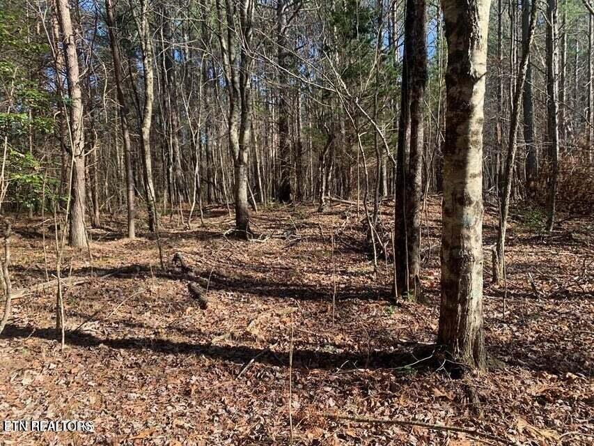 Tract 2 Lone Wolf Trail Tr