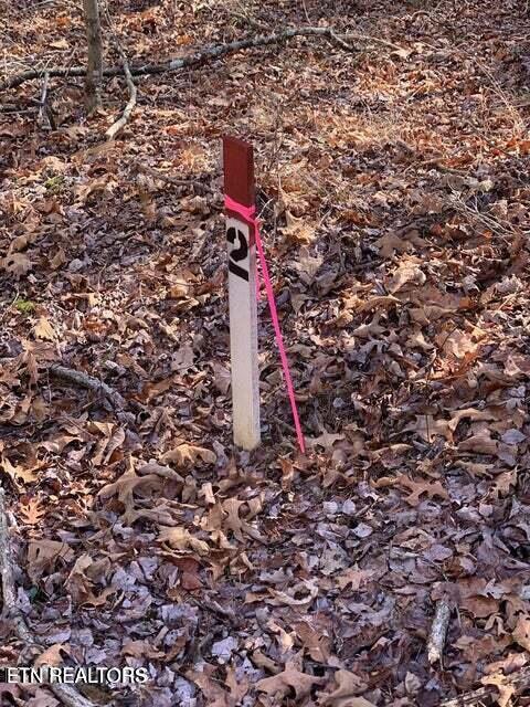Tiny photo for Tract 2 Lone Wolf Trail Tr, Spencer, TN 38585 (MLS # 1355440)