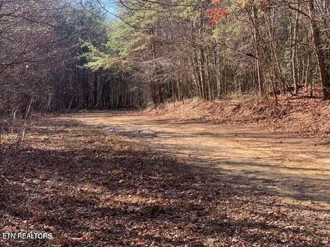 Tiny photo for Tract 2 Lone Wolf Trail Tr, Spencer, TN 38585 (MLS # 1355440)