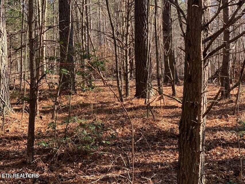 Tract 2 Lone Wolf Trail Tr