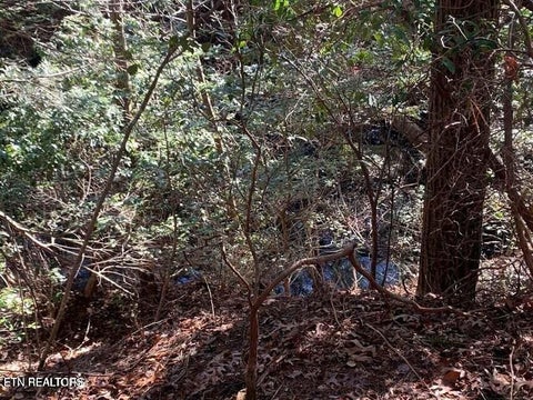 Tiny photo for Tract 2 Lone Wolf Trail Tr, Spencer, TN 38585 (MLS # 1355440)