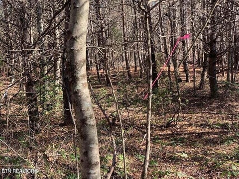 Tiny photo for Tract 2 Lone Wolf Trail Tr, Spencer, TN 38585 (MLS # 1355440)