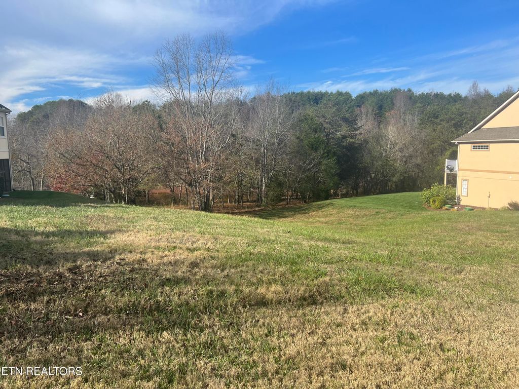 Photo of 230 Morning Dove Drive, Vonore, TN 37885 (MLS # 1282332)