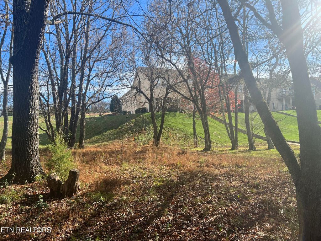 Photo of 230 Morning Dove Drive, Vonore, TN 37885 (MLS # 1282332)