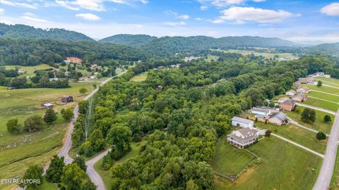Tiny photo for 1207 Fagley Drive, Seymour, TN 37865 (MLS # 1329416)