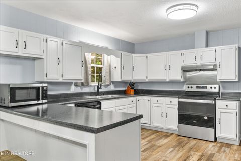 Tiny photo for 1207 Fagley Drive, Seymour, TN 37865 (MLS # 1329416)