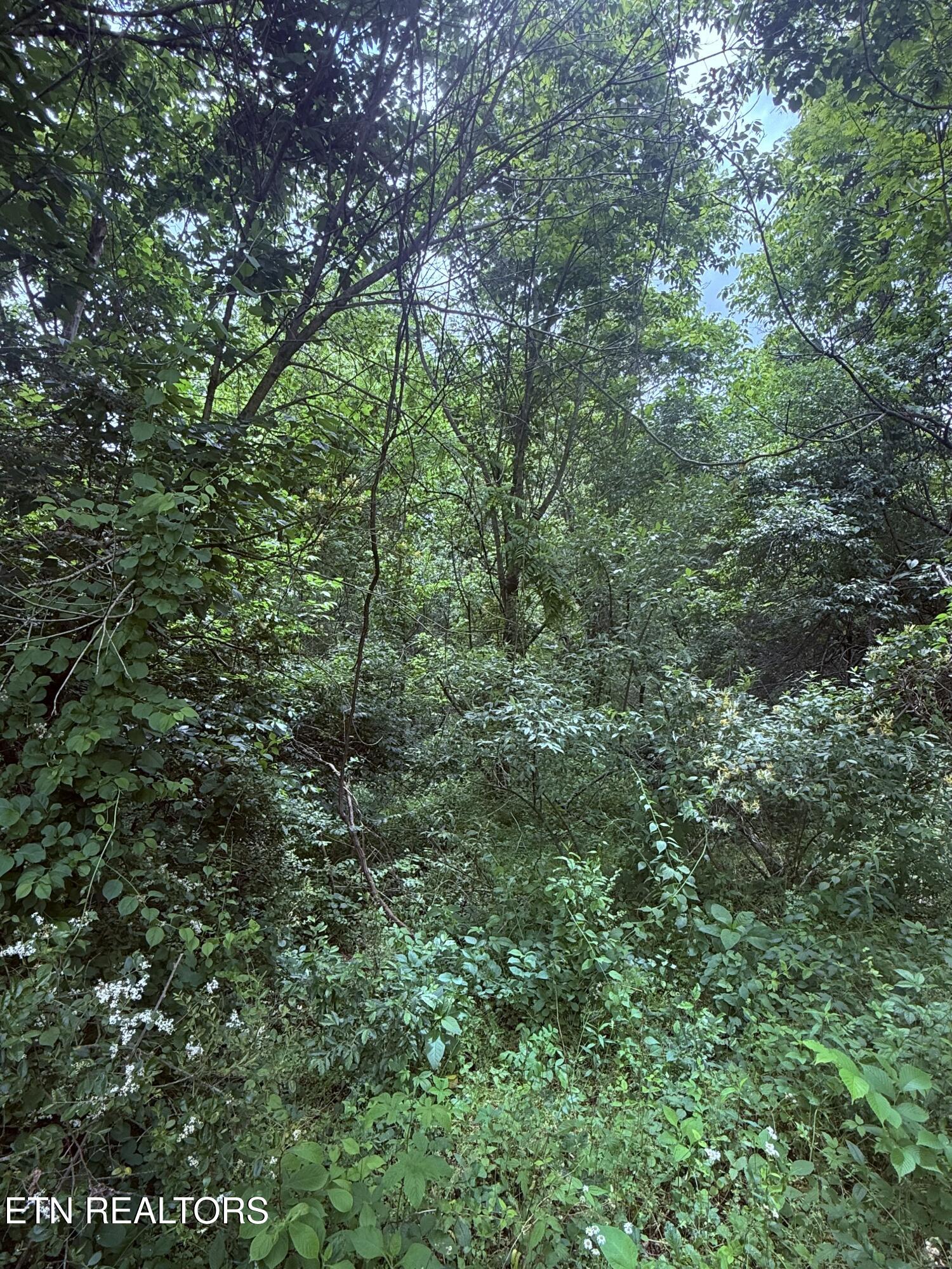 Chambers Rd
