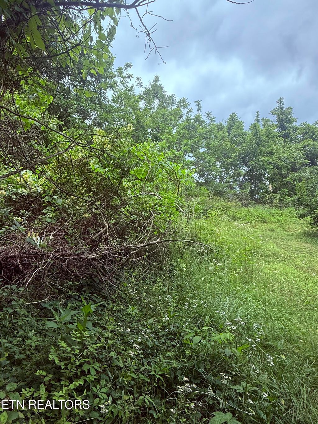 Photo of Chambers Rd, Jacksboro, TN 37757 (MLS # 1340026)