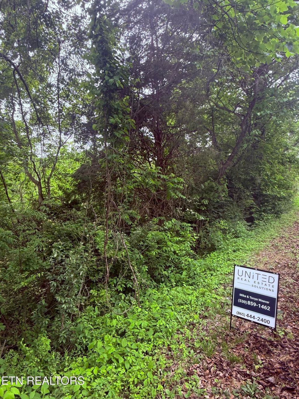 Photo of Chambers Rd, Jacksboro, TN 37757 (MLS # 1340026)