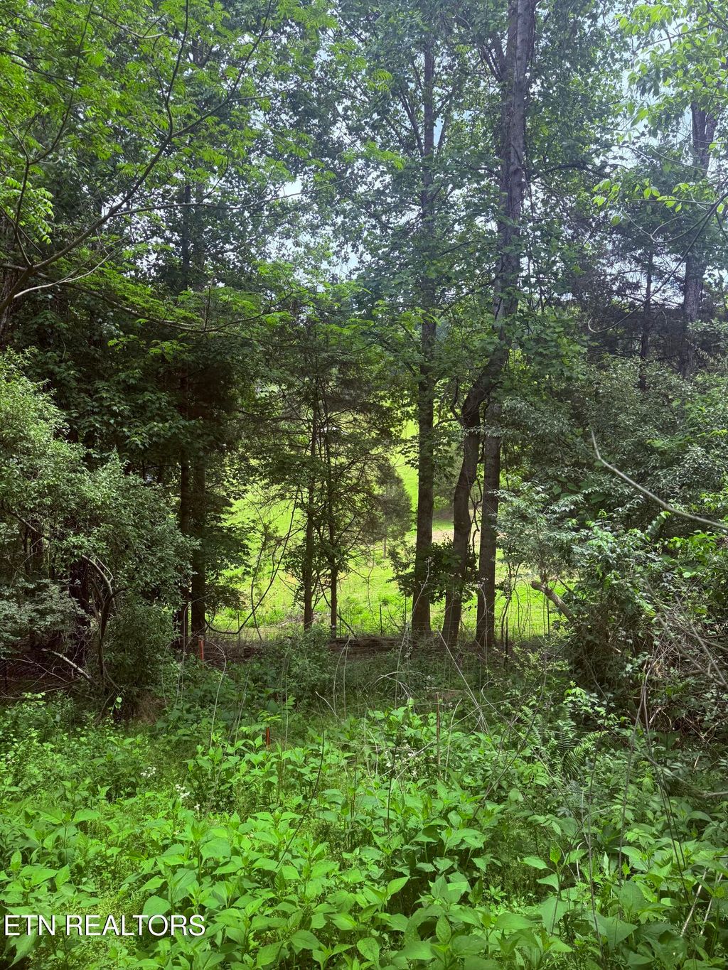 Photo of Chambers Rd, Jacksboro, TN 37757 (MLS # 1340026)