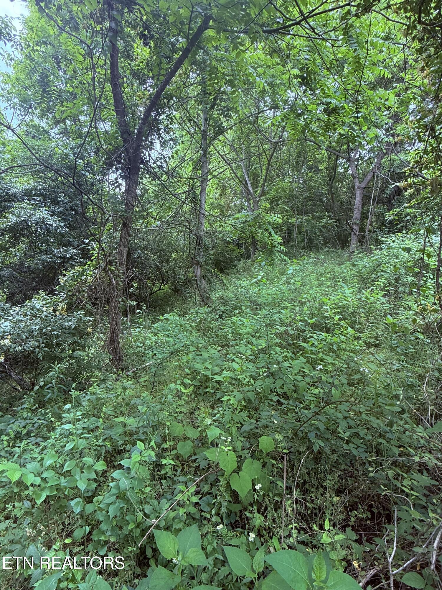 Chambers Rd