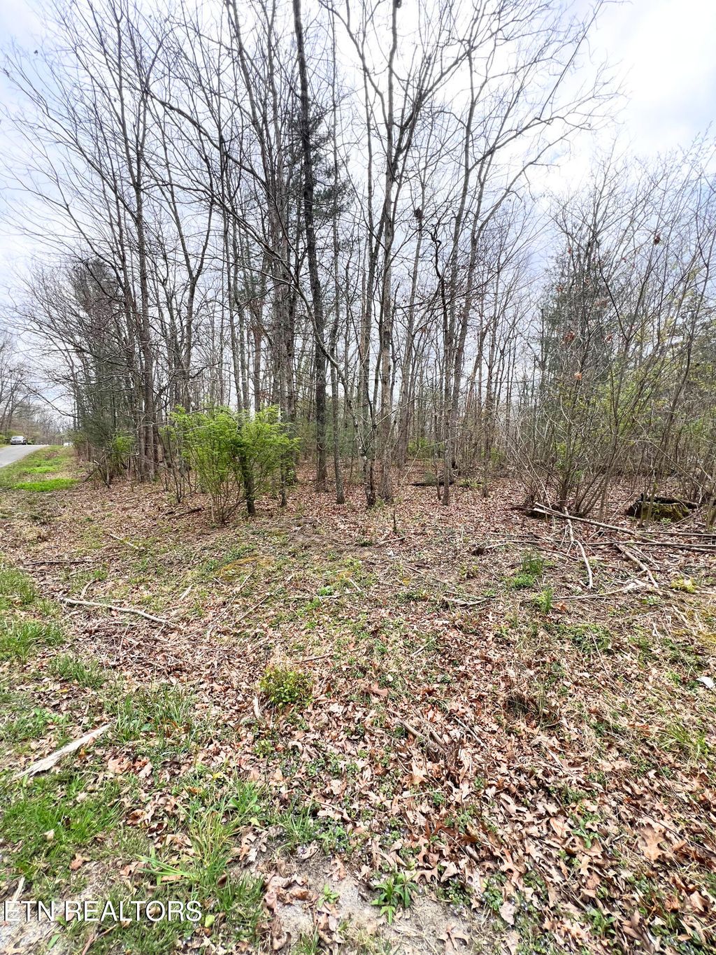 Photo of 10321036 Uno Lane, Crossville, TN 38572 (MLS # 1334722)