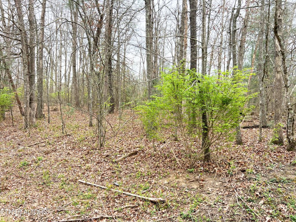 Photo of 10321036 Uno Lane, Crossville, TN 38572 (MLS # 1334722)