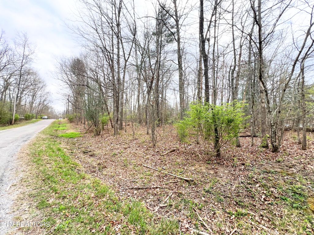 Photo of 10321036 Uno Lane, Crossville, TN 38572 (MLS # 1334722)