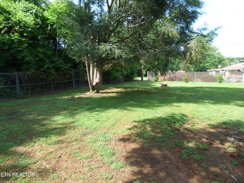Tiny photo for 153 Travis Drive, Spring City, TN 37381 (MLS # 1342590)