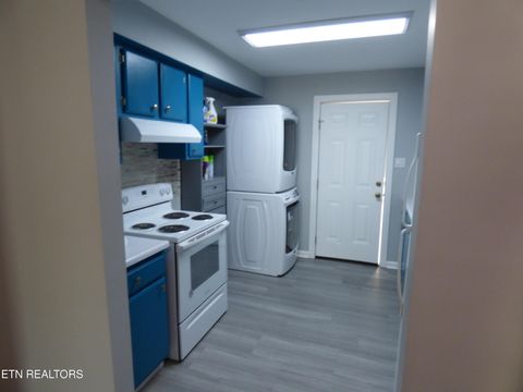 Tiny photo for 153 Travis Drive, Spring City, TN 37381 (MLS # 1342590)