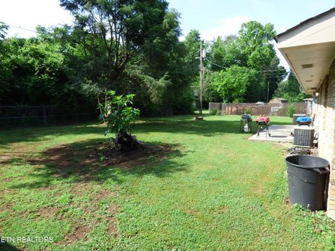 Tiny photo for 153 Travis Drive, Spring City, TN 37381 (MLS # 1342590)