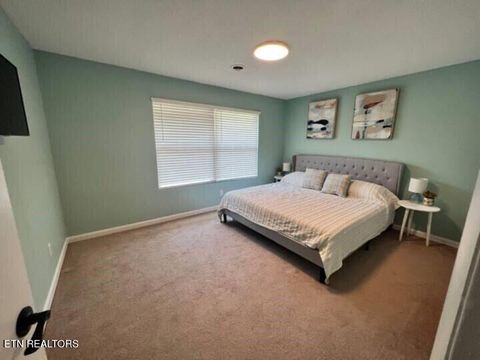 Tiny photo for 153 Travis Drive, Spring City, TN 37381 (MLS # 1342590)