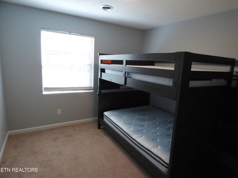 Tiny photo for 153 Travis Drive, Spring City, TN 37381 (MLS # 1342590)