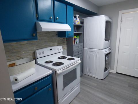 Tiny photo for 153 Travis Drive, Spring City, TN 37381 (MLS # 1342590)