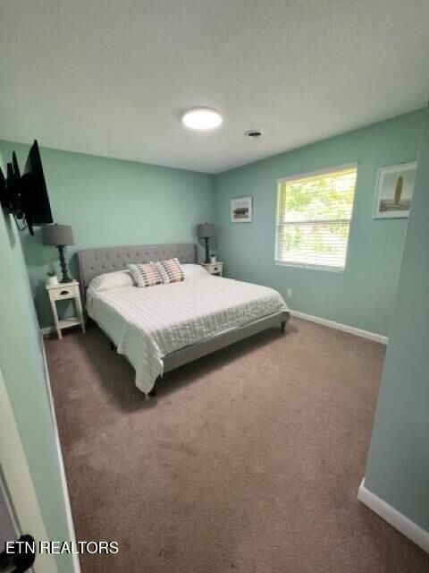 Tiny photo for 153 Travis Drive, Spring City, TN 37381 (MLS # 1342590)