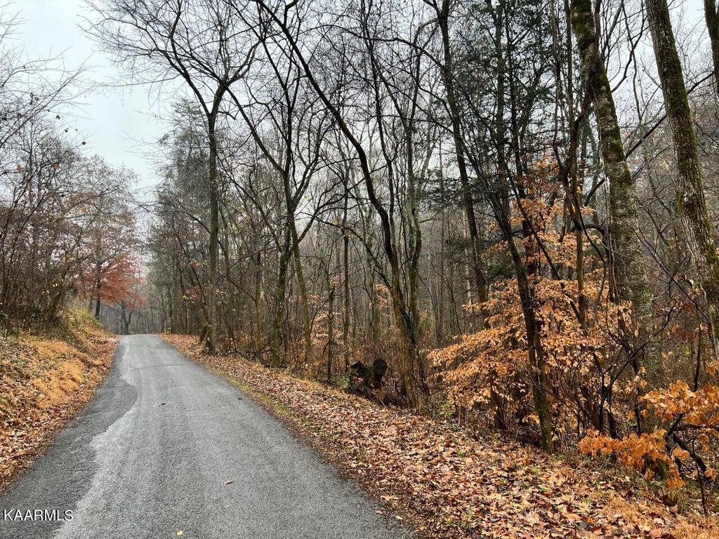 Photo of 7 Butler Rd, Decatur, TN 37322 (MLS # 1211205)