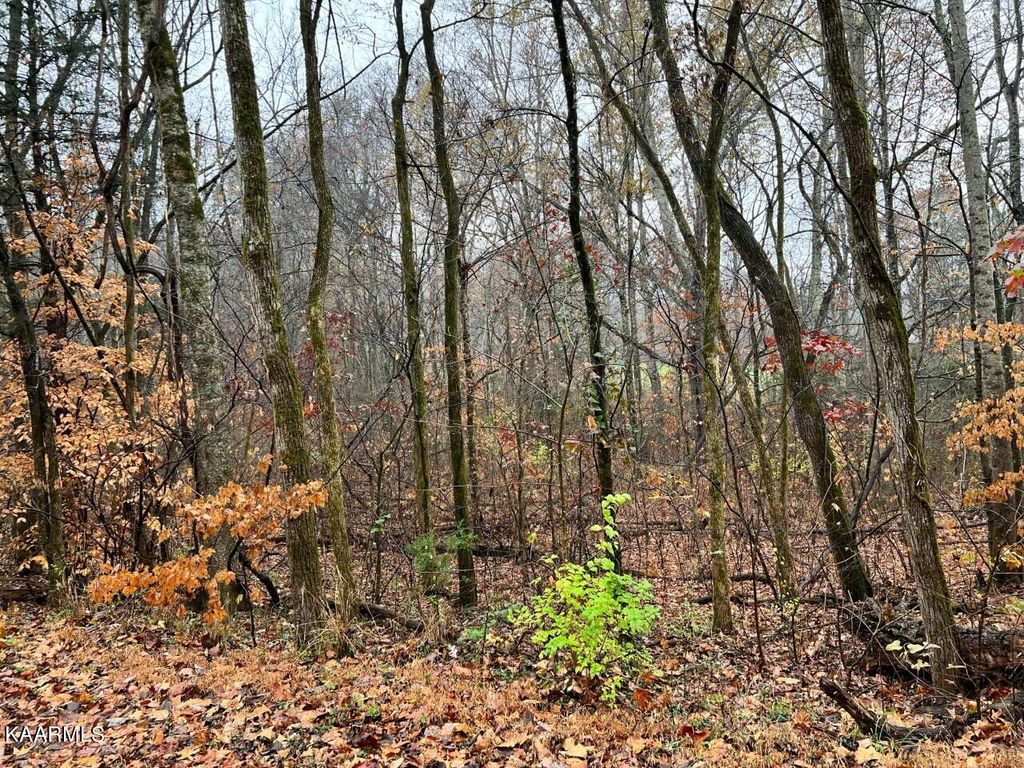Photo of 7 Butler Rd, Decatur, TN 37322 (MLS # 1211205)