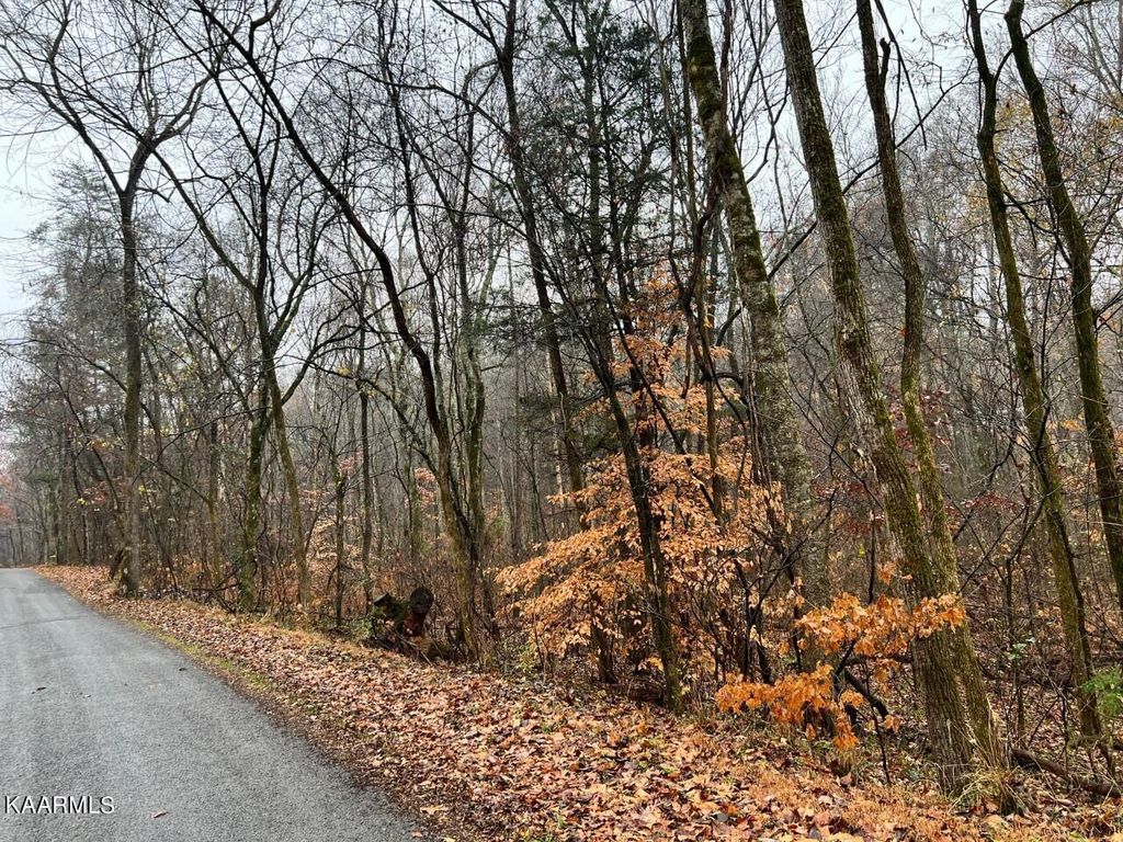 Photo of 7 Butler Rd, Decatur, TN 37322 (MLS # 1211205)