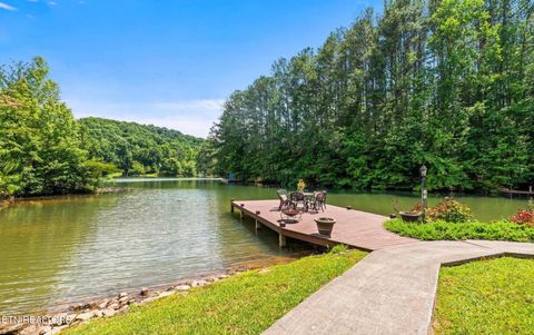 Tiny photo for 877 Laurel Lake Circle Circle, Madisonville, TN 37354 (MLS # 1332355)