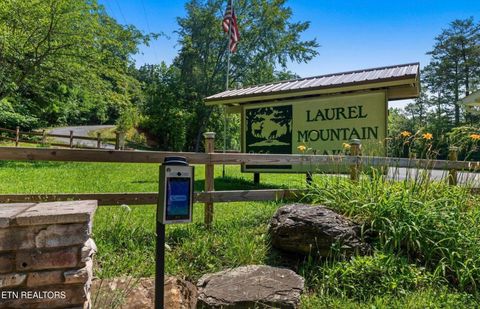 Tiny photo for 877 Laurel Lake Circle Circle, Madisonville, TN 37354 (MLS # 1332355)