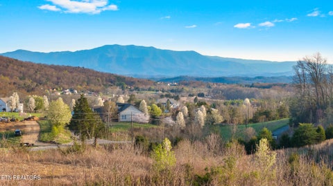 Featured picture for the property 1256167