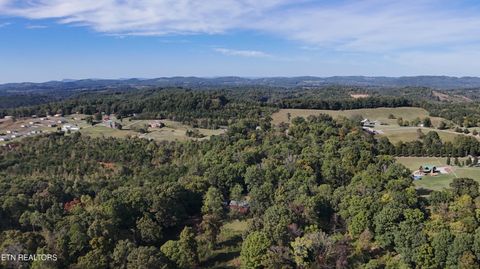 Tiny photo for 671 Towers Drive, Dandridge, TN 37725 (MLS # 1318611)