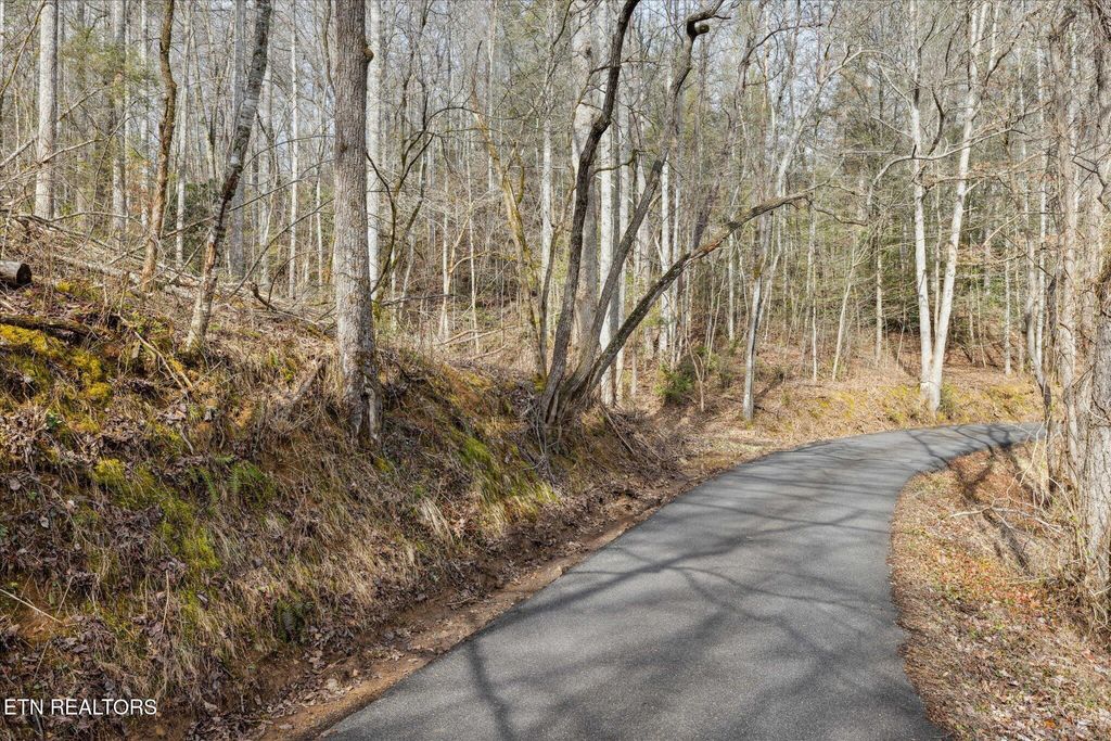 Photo of King Rd, Gatlinburg, TN 37738 (MLS # 1299069)