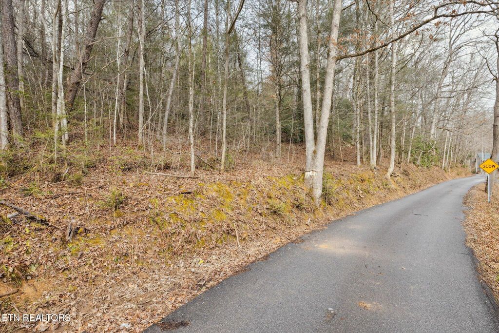 Photo of King Rd, Gatlinburg, TN 37738 (MLS # 1299069)
