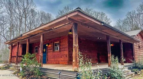 Photo of 495 Bear Hollow Rd, Oneida, TN 37841 (MLS # 1333555)